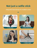 3IN1 Wireless Selfie Stick/tripod